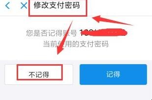 支付宝忘记支付密码怎么办