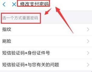 支付宝忘记支付密码怎么办
