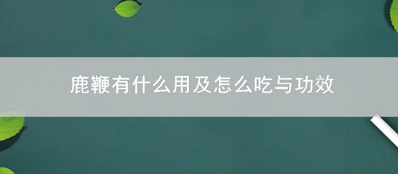 鹿鞭有什么用及怎么吃与功效