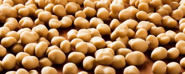 夏威夷果吃了有什么好处 夏威夷果吃了有什么好处