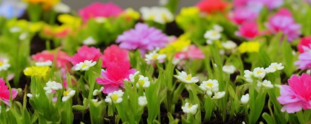 花发芽多久浇一次水